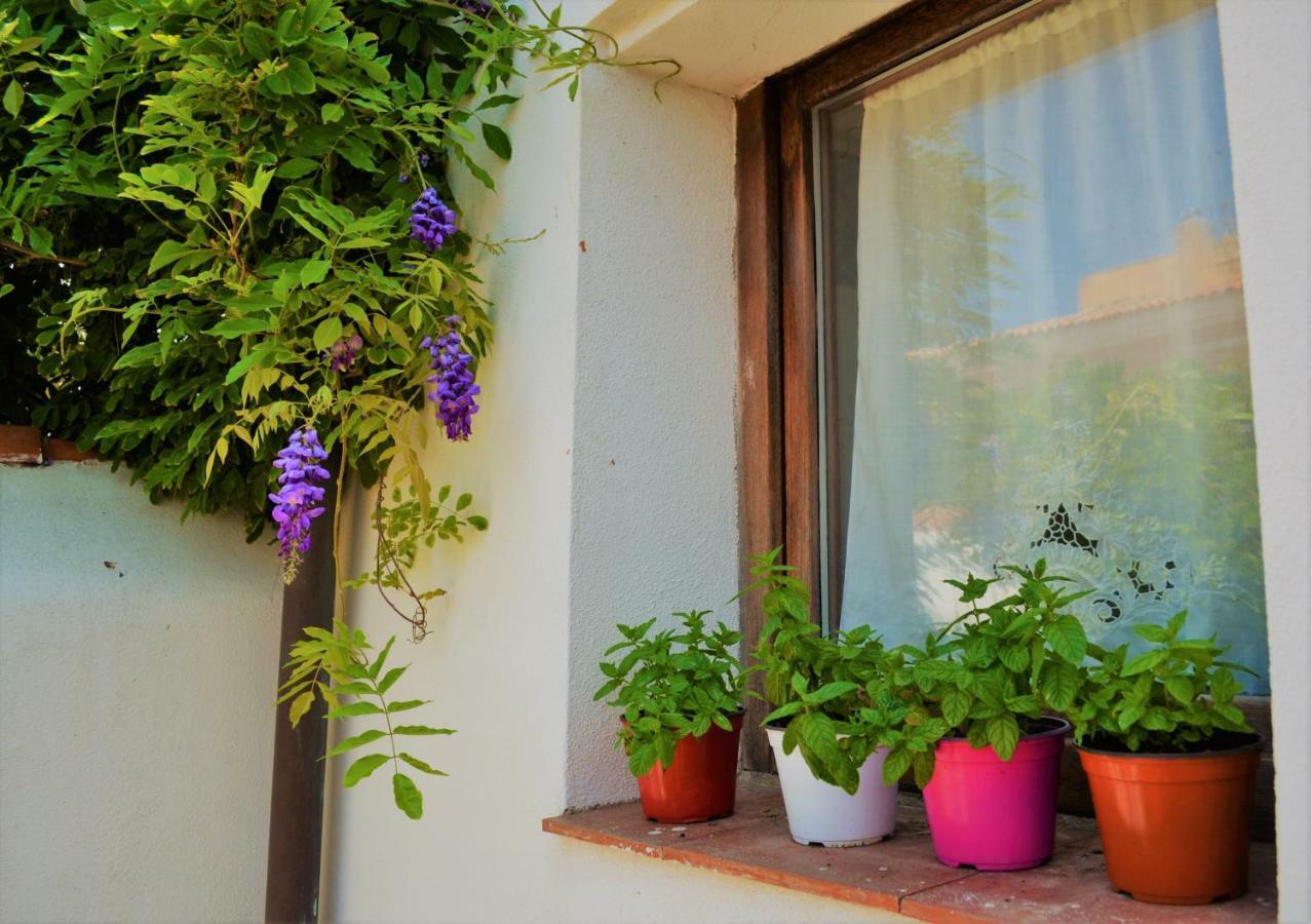 Casa Gandamar B&B Santa Teresa Gallura Exterior foto