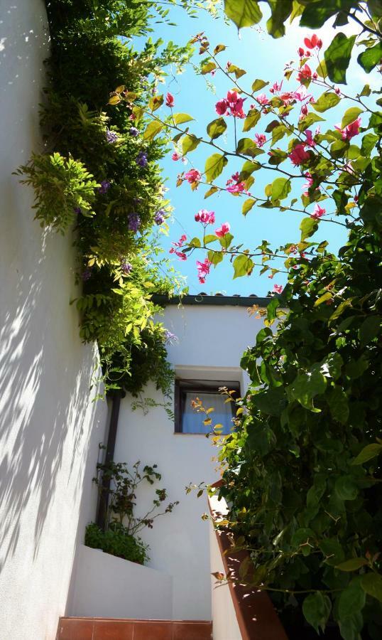 Casa Gandamar B&B Santa Teresa Gallura Exterior foto